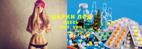 сатива Алзамай