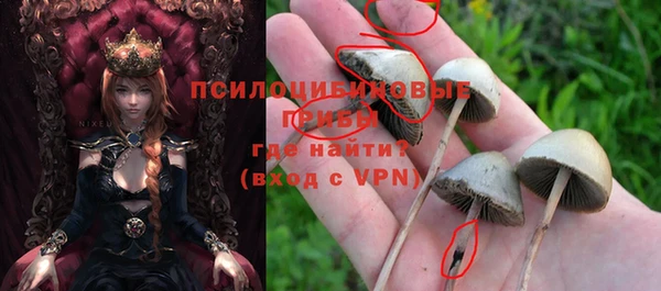 сатива Алзамай