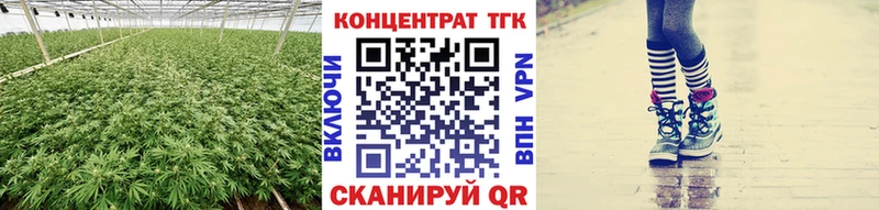 где продают   Саки  ТГК концентрат 