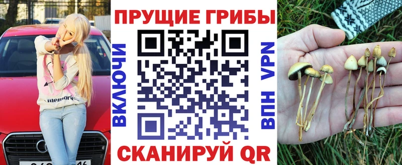 хочу   Саки  Галлюциногенные грибы GOLDEN TEACHER 